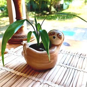 Sloth Planter Pot  COMES WITH HOUSEPLANT